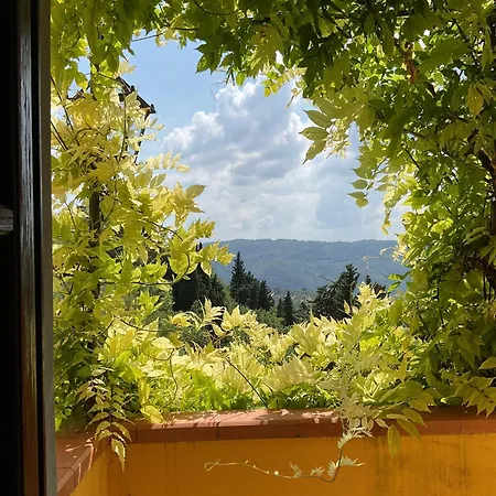 50 * Pontassieve